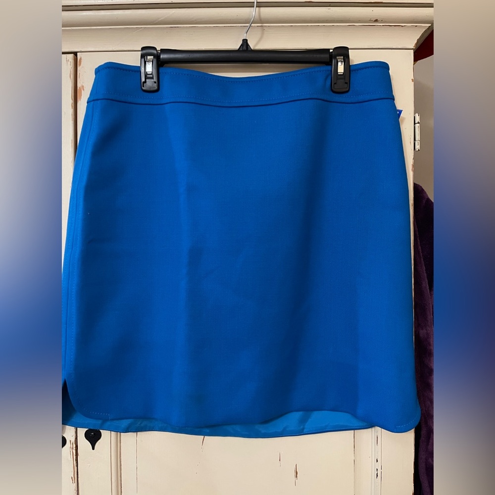 Ann Taylor skirt